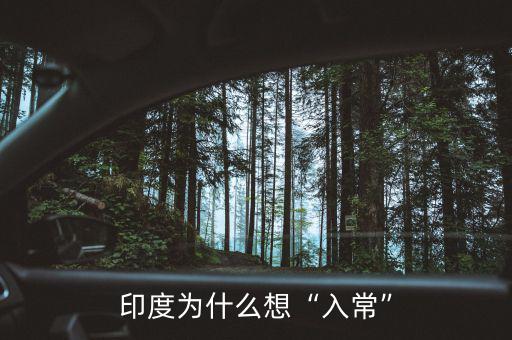 印度為什么想“入?！? class=