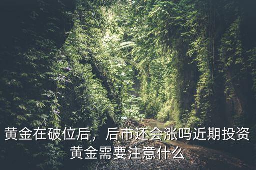 黃金在破位后，后市還會(huì)漲嗎近期投資黃金需要注意什么