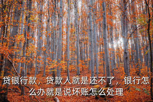 貸銀行款，貸款人就是還不了，銀行怎么辦就是說壞賬怎么處理