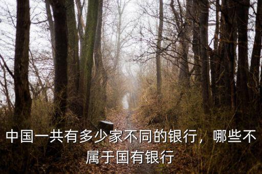 中國(guó)一共有多少家不同的銀行，哪些不屬于國(guó)有銀行