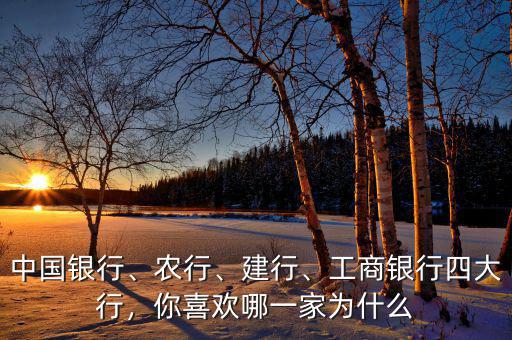 中國銀行、農(nóng)行、建行、工商銀行四大行，你喜歡哪一家為什么