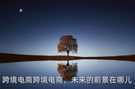 跨境電商跨境電商，未來的前景在哪兒