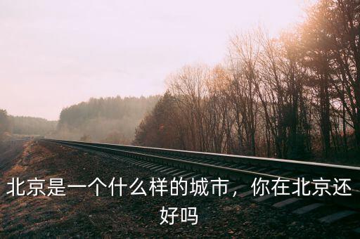 北京是一個什么樣的城市，你在北京還好嗎