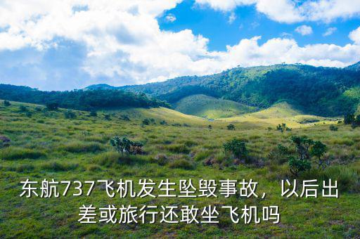 東航737飛機(jī)發(fā)生墜毀事故，以后出差或旅行還敢坐飛機(jī)嗎