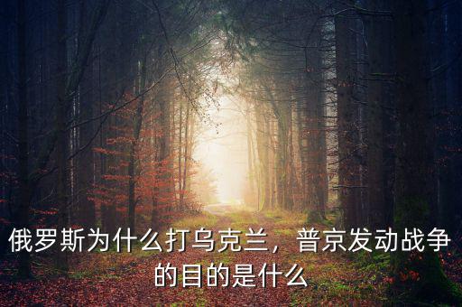 俄羅斯為什么打?yàn)蹩颂m，普京發(fā)動(dòng)戰(zhàn)爭(zhēng)的目的是什么