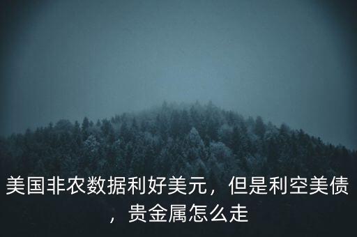 美國(guó)非農(nóng)數(shù)據(jù)利好美元，但是利空美債，貴金屬怎么走