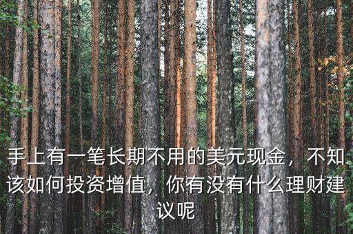 手上有一筆長期不用的美元現(xiàn)金，不知該如何投資增值，你有沒有什么理財建議呢