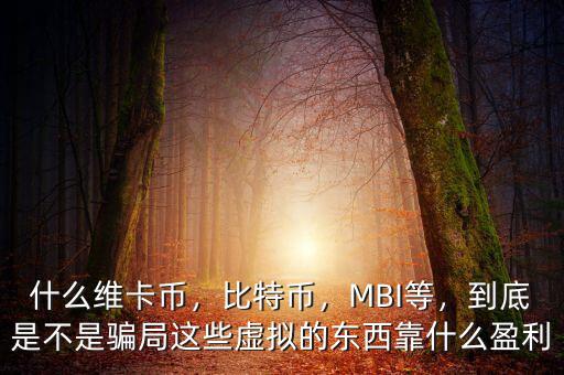 什么維卡幣，比特幣，MBI等，到底是不是騙局這些虛擬的東西靠什么盈利
