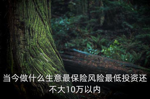 當今做什么生意最保險風險最低投資還不大10萬以內