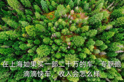在上海如果買一部二十萬的車，專職跑滴滴快車，收入會怎么樣
