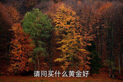 請(qǐng)問(wèn)買(mǎi)什么黃金好