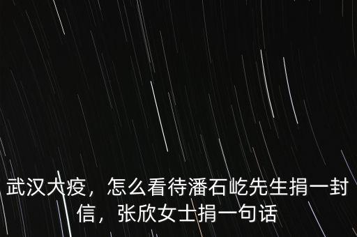 武漢大疫，怎么看待潘石屹先生捐一封信，張欣女士捐一句話