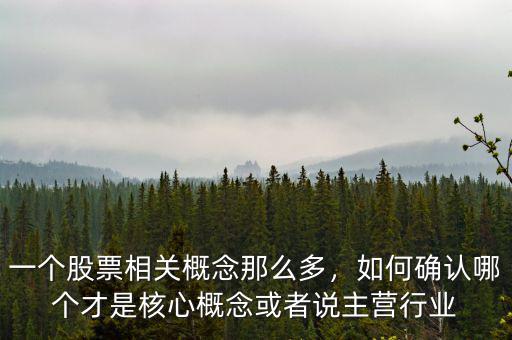 一個股票相關概念那么多，如何確認哪個才是核心概念或者說主營行業(yè)