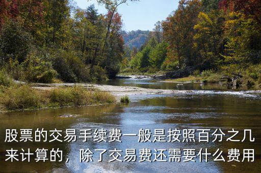 股票的交易手續(xù)費(fèi)一般是按照百分之幾來計(jì)算的，除了交易費(fèi)還需要什么費(fèi)用