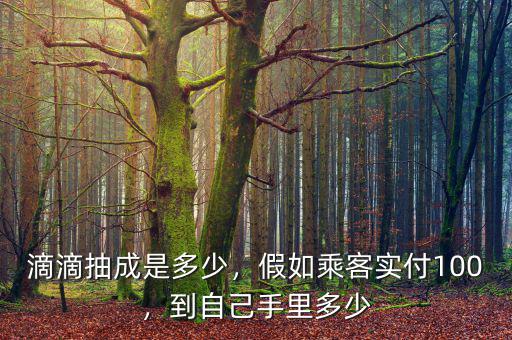 滴滴抽成是多少，假如乘客實付100，到自己手里多少