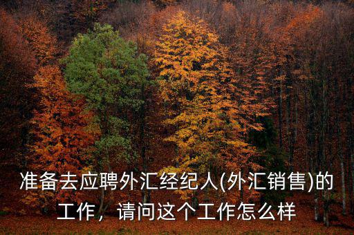 準(zhǔn)備去應(yīng)聘外匯經(jīng)紀(jì)人(外匯銷售)的工作，請(qǐng)問(wèn)這個(gè)工作怎么樣