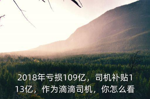2018年虧損109億，司機補貼113億，作為滴滴司機，你怎么看