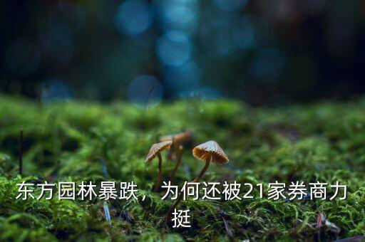 東方園林暴跌，為何還被21家券商力挺