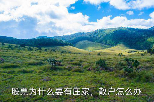 股票為什么要有莊家，散戶怎么辦