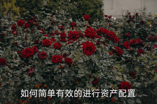 為什么要進行資產配置,如何簡單有效的進行資產配置