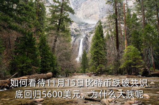 如何看待11月15日比特幣跌破共識(shí)底回歸5600美元，為什么大跌呢