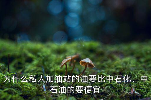 為什么私人加油站的油要比中石化、中石油的要便宜