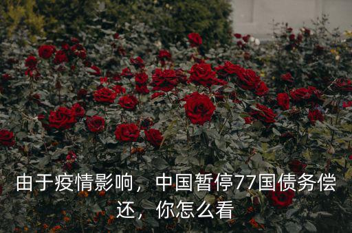 由于疫情影響，中國暫停77國債務(wù)償還，你怎么看