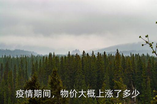 疫情期間，物價(jià)大概上漲了多少