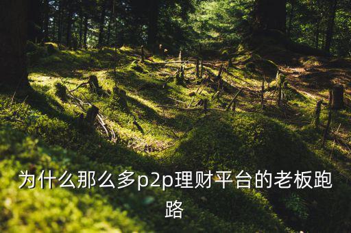 為什么那么多p2p理財(cái)平臺(tái)的老板跑路