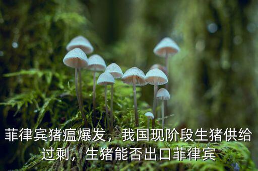 菲律賓豬瘟爆發(fā)，我國現(xiàn)階段生豬供給過剩，生豬能否出口菲律賓