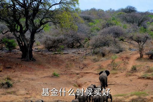 基金什么時(shí)候買(mǎi)好,基金什么時(shí)候買(mǎi)好
