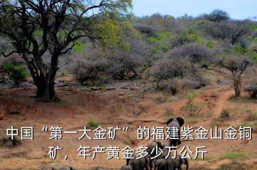 中國(guó)“第一大金礦”的福建紫金山金銅礦，年產(chǎn)黃金多少萬(wàn)公斤