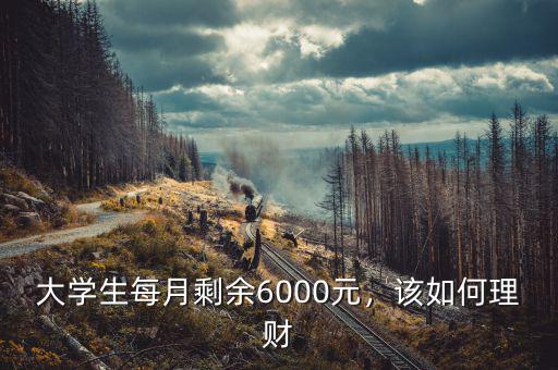 大學生每月剩余6000元，該如何理財