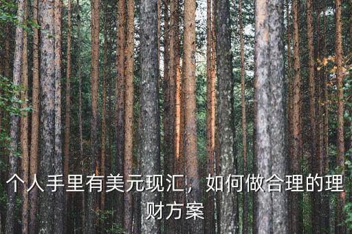 個(gè)人手里有美元現(xiàn)匯，如何做合理的理財(cái)方案