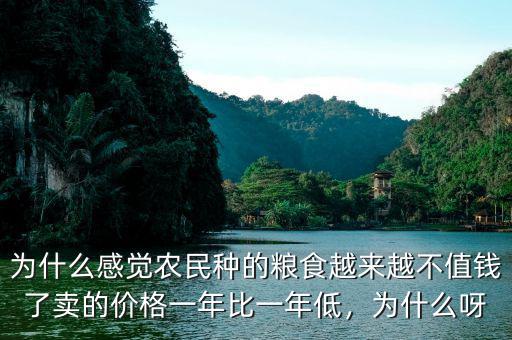 為什么今年糧食不好賣,為什么農民種糧食不賺錢