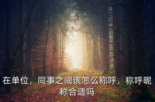 在單位，同事之間該怎么稱呼，稱呼昵稱合適嗎