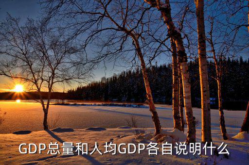 經濟總量代表什么,現(xiàn)階段各國的經濟總量如何