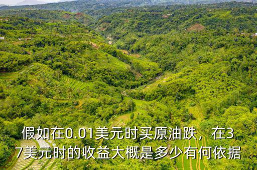 假如在0.01美元時買原油跌，在37美元時的收益大概是多少有何依據(jù)