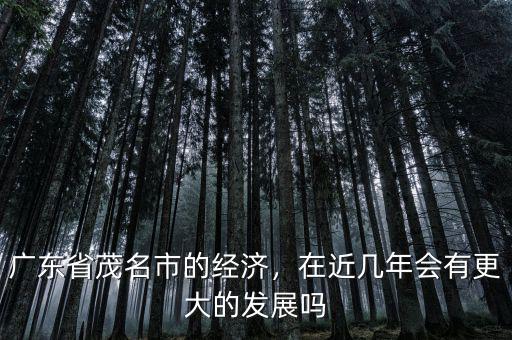 廣東省茂名市的經(jīng)濟，在近幾年會有更大的發(fā)展嗎