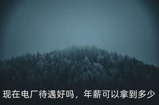現(xiàn)在電廠待遇好嗎，年薪可以拿到多少
