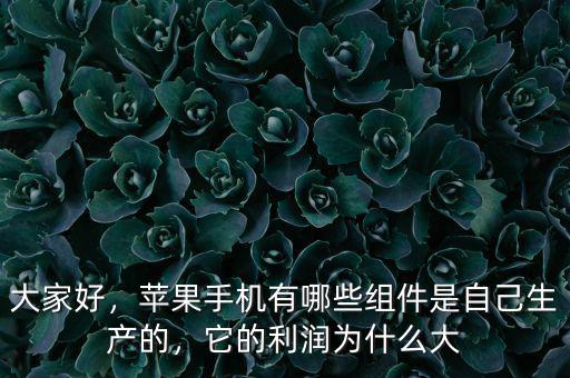 大家好，蘋果手機(jī)有哪些組件是自己生產(chǎn)的，它的利潤(rùn)為什么大