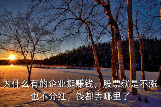 為什么有的企業(yè)挺賺錢，股票就是不漲也不分紅，錢都弄哪里了