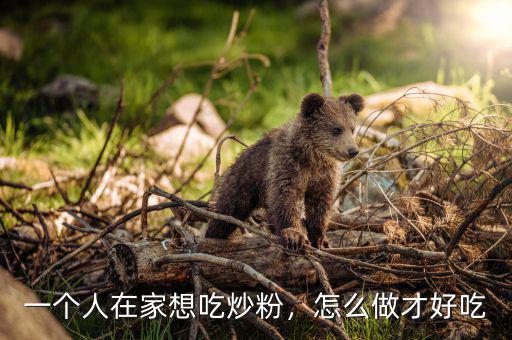 一個(gè)人在家想吃炒粉，怎么做才好吃