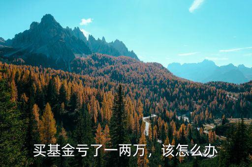 買基金虧了一兩萬(wàn)，該怎么辦