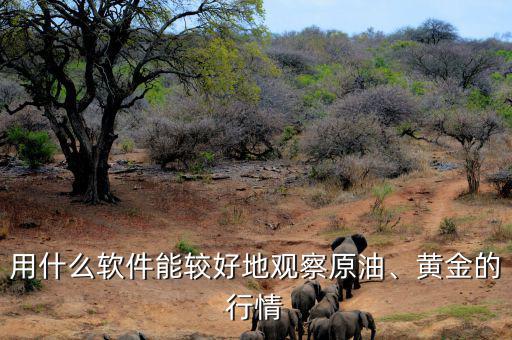用什么軟件能較好地觀察原油、黃金的行情