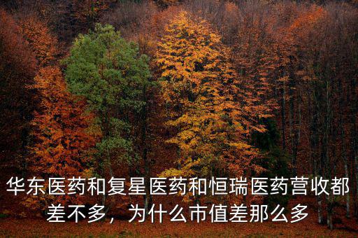 華東醫(yī)藥和復(fù)星醫(yī)藥和恒瑞醫(yī)藥營收都差不多，為什么市值差那么多