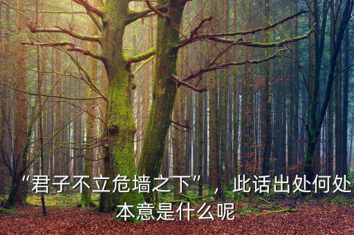 “君子不立危墻之下”，此話(huà)出處何處本意是什么呢