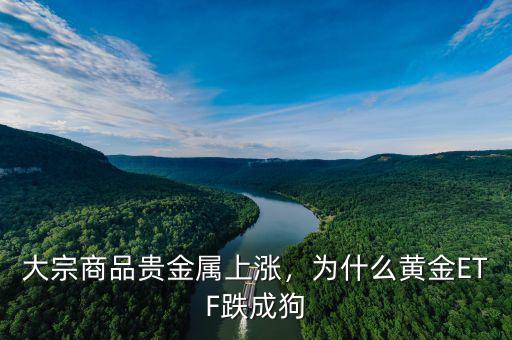 大宗商品貴金屬上漲，為什么黃金ETF跌成狗