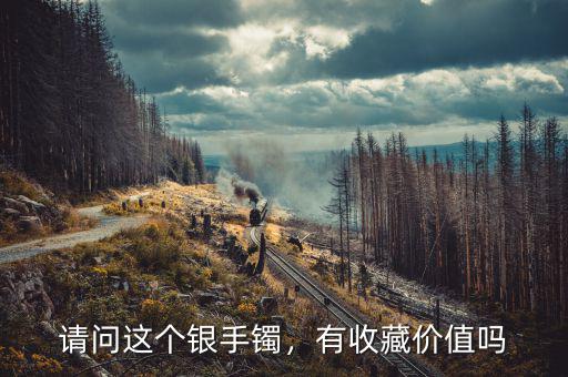 請(qǐng)問(wèn)這個(gè)銀手鐲，有收藏價(jià)值嗎