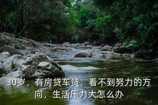 30歲，有房貸車貸，看不到努力的方向，生活壓力大怎么辦